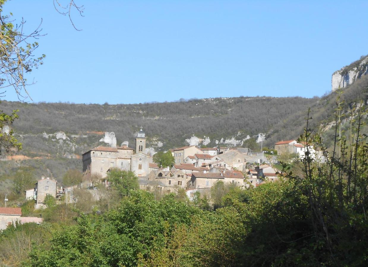 Maison Spacieuse Et Agreable Saint-Georges-de-Luzençon Eksteriør billede